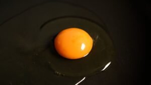 Egg